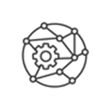 การกำหนดวันนำเข้าครั้งแรก